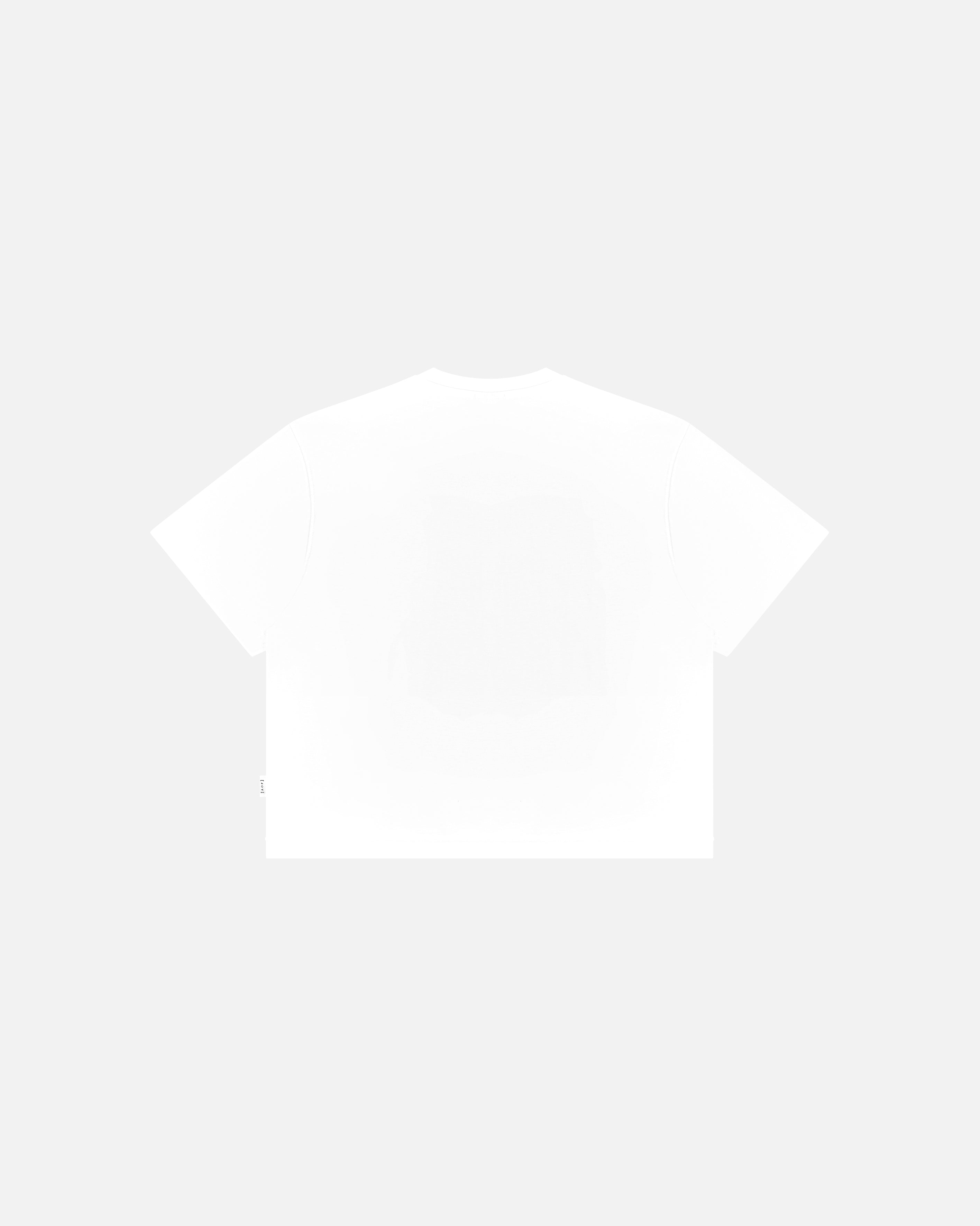 AOF Euros 2022 Pickles Crop T-Shirt | White Tee | Art of Football