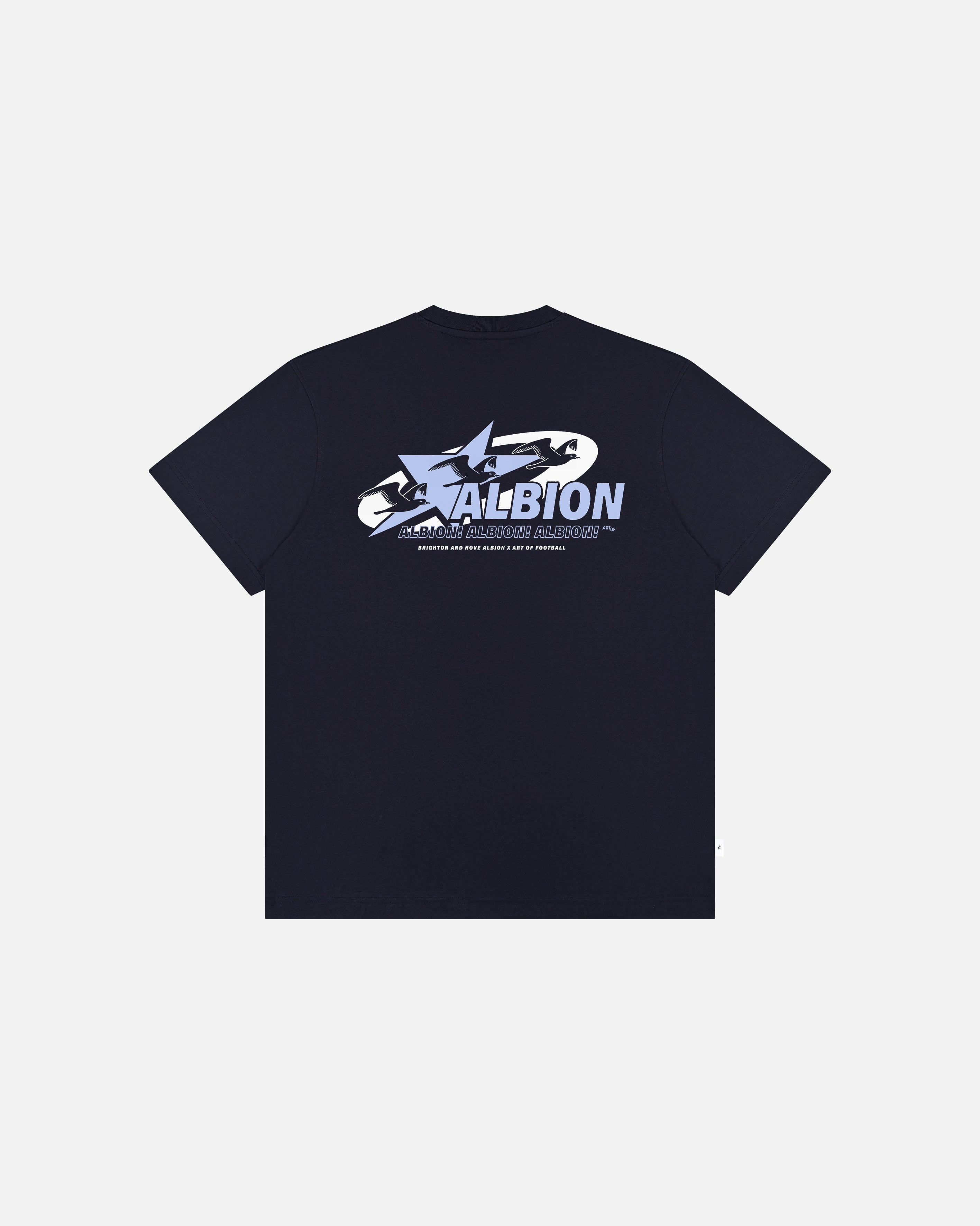 ART OF x Brighton 00s Graphic Tee | BHAFC Navy Football T-shirt