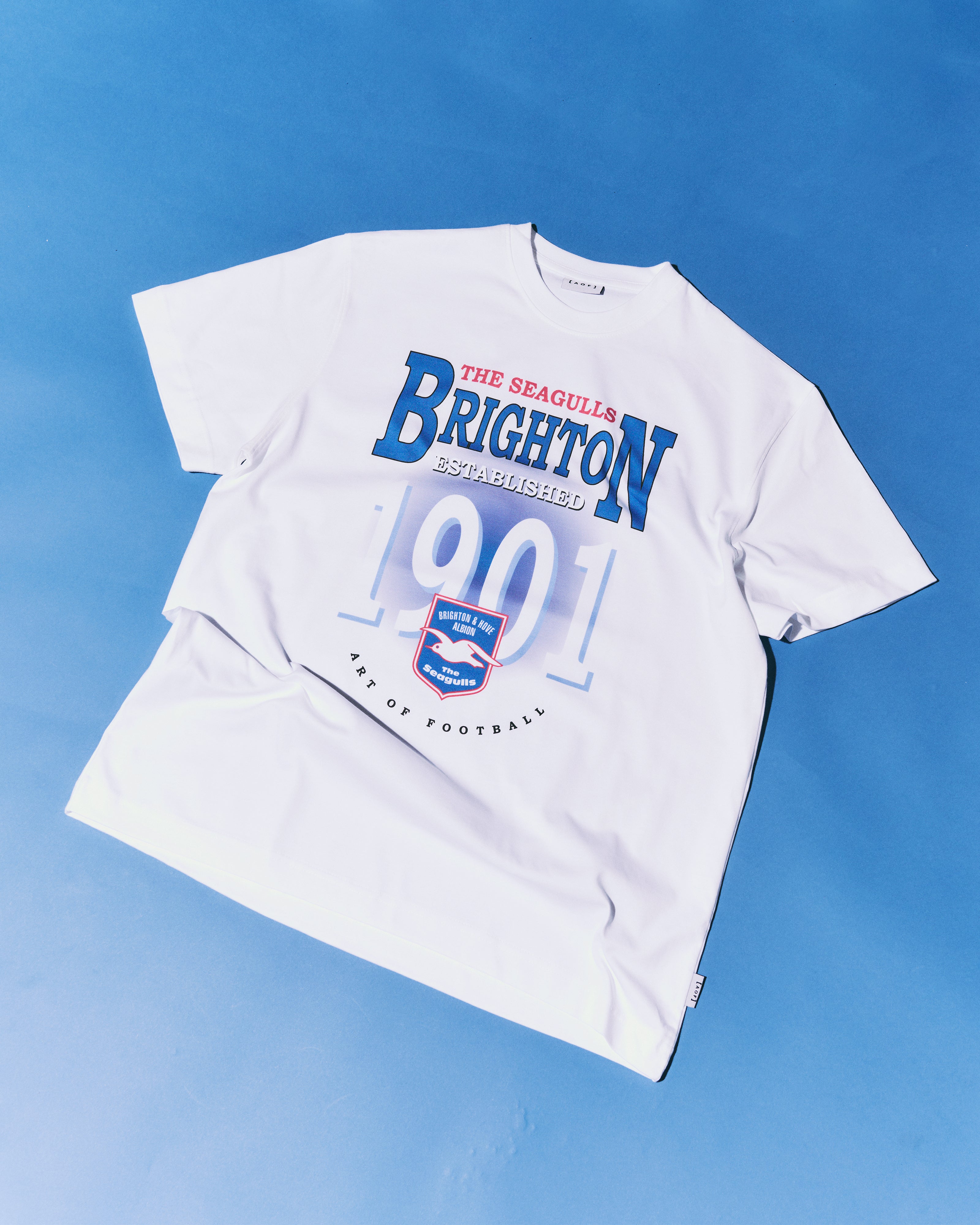 ART OF x Brighton Retro Graphic Tee | BHAFC White Football T-shirt